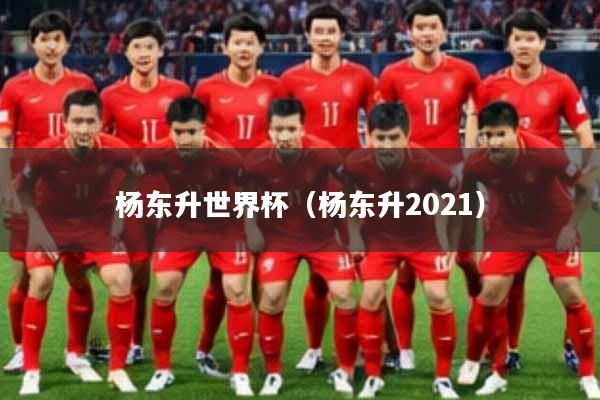 杨东升世界杯（杨东升2021）