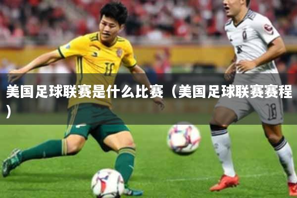 美国足球联赛是什么比赛（美国足球联赛赛程）