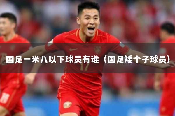 国足一米八以下球员有谁（国足矮个子球员）