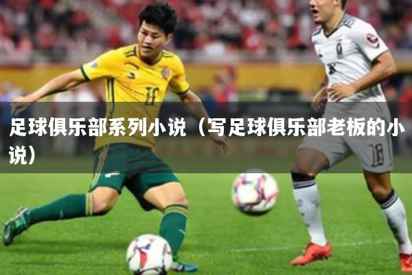 足球俱乐部系列小说（写足球俱乐部老板的小说）