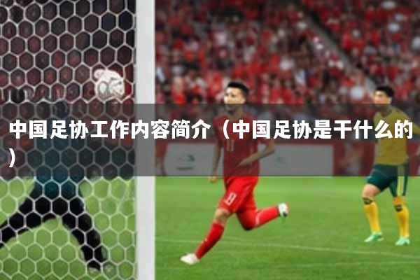 中国足协工作内容简介（中国足协是干什么的）