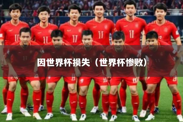 因世界杯损失（世界杯惨败）