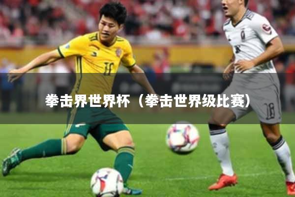 拳击界世界杯（拳击世界级比赛）
