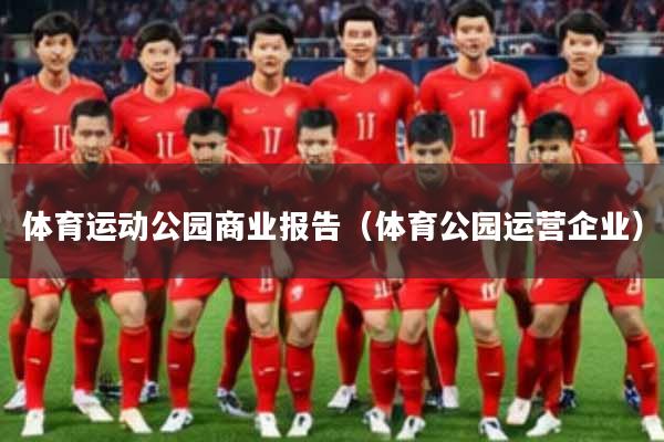 体育运动公园商业报告（体育公园运营企业）