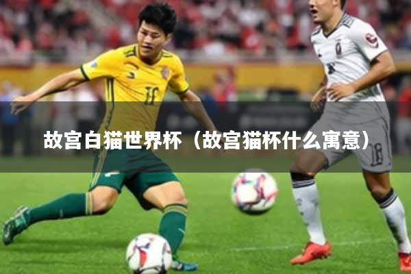 故宫白猫世界杯（故宫猫杯什么寓意）
