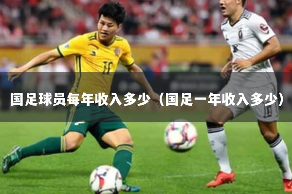 国足球员每年收入多少（国足一年收入多少）