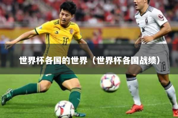 世界杯各国的世界（世界杯各国战绩）