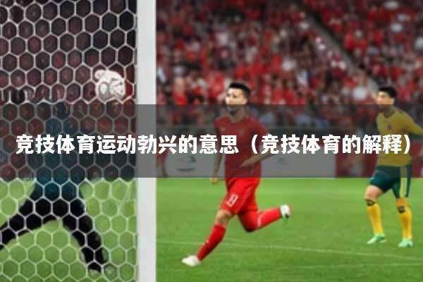 竞技体育运动勃兴的意思（竞技体育的解释）