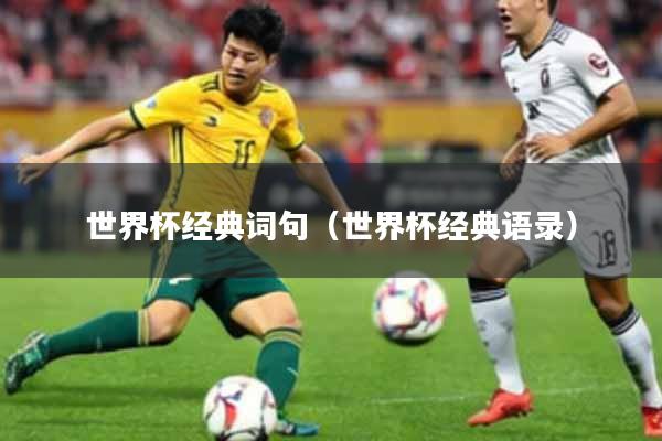 世界杯经典词句（世界杯经典语录）