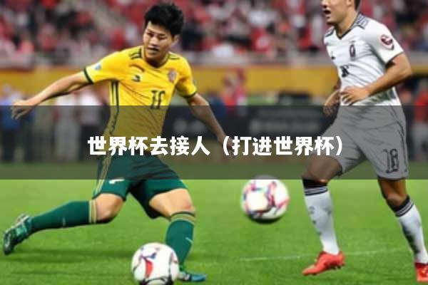 世界杯去接人（打进世界杯）
