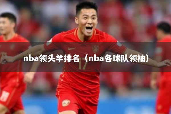 nba领头羊排名（nba各球队领袖）