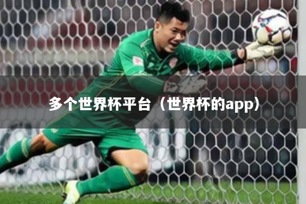 多个世界杯平台（世界杯的app）