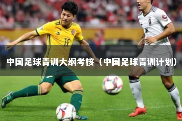 中国足球青训大纲考核（中国足球青训计划）